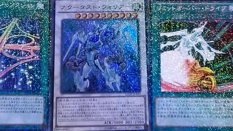IMAG3340
