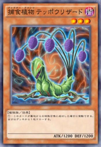 5227