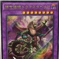 捕食植物ドラゴスタペリア【アルティメットレア】 捕食植物ドラゴスタペリア【エクストラシークレット】 - トレカ