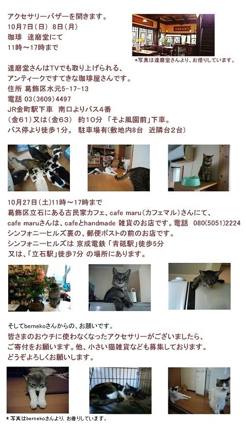 20180928155003468