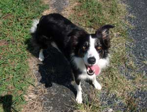 109080eb.jpg