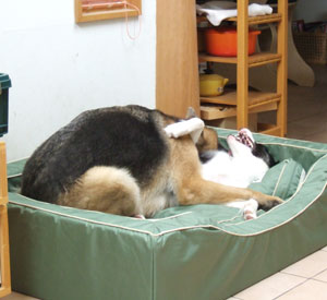 c677f55f.jpg