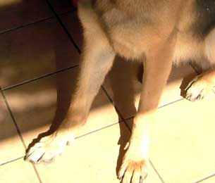 d15a0d58.jpg
