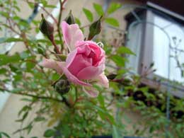 d6a4d778.jpg