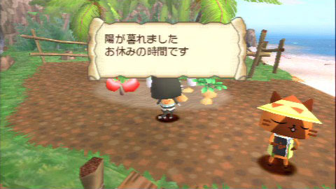 陽が暮れました