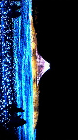 24c06175.jpg