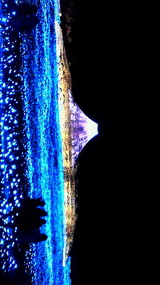 ad41d02f.jpg