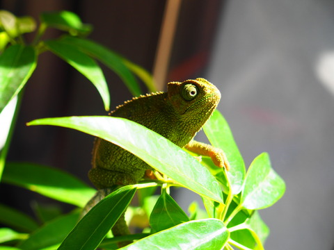 P1010097