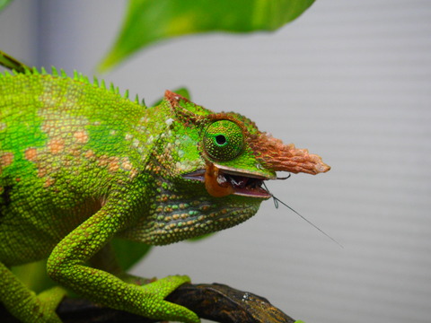P1010009