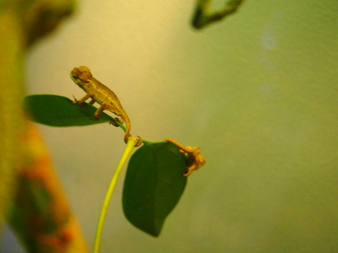 P1010063