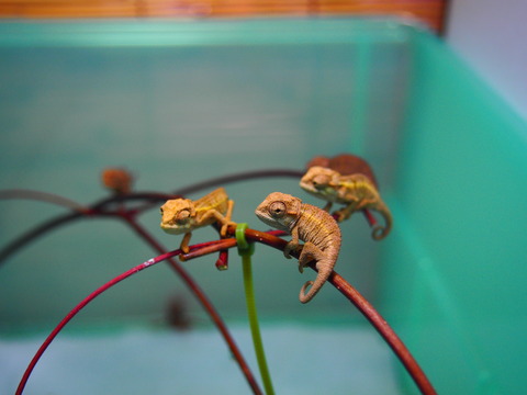 P1010069