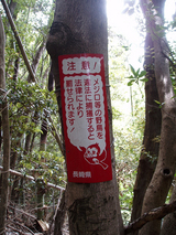 あんまり怖くない