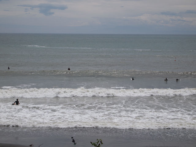 海