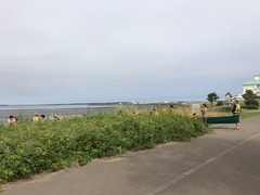 2017-08-06-09-28-13