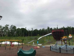 IMG_2446