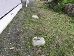 IMG_2376