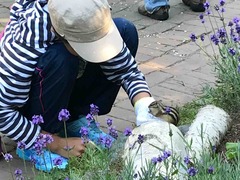IMG_2945