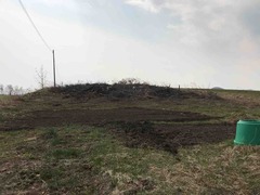 IMG_2254