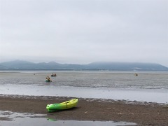 2017-08-06-09-50-26