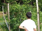 背丈もあります