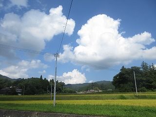IMG_2991