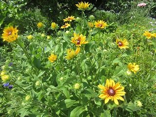 IMG_3854