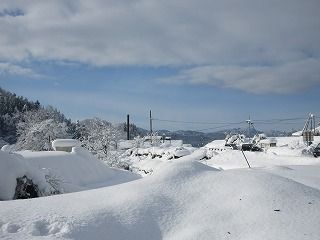 IMG_3306