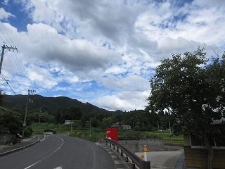 IMG_4028