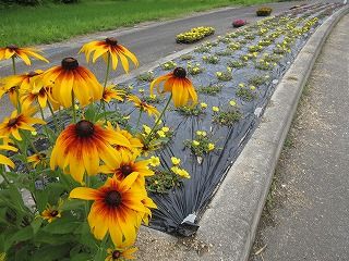 IMG_2749