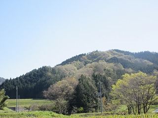 IMG_2535