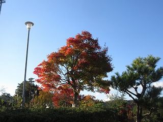 IMG_4198