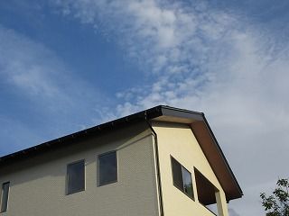 IMG_2722