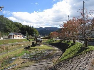 IMG_4191