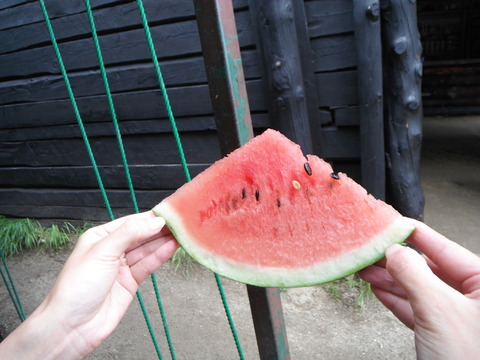 DSCF0260