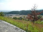 P1050920