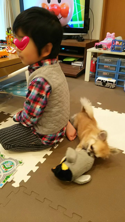 BlogPaint