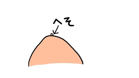 へそ