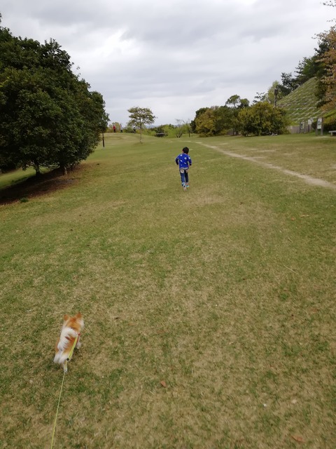 IMG_20180414_124600