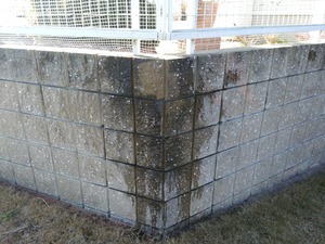 IMG_20171228_112214