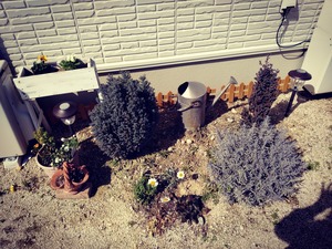 IMG_20180311_103215
