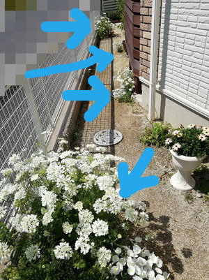 BlogPaint