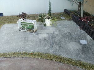 IMG_20171228_102906
