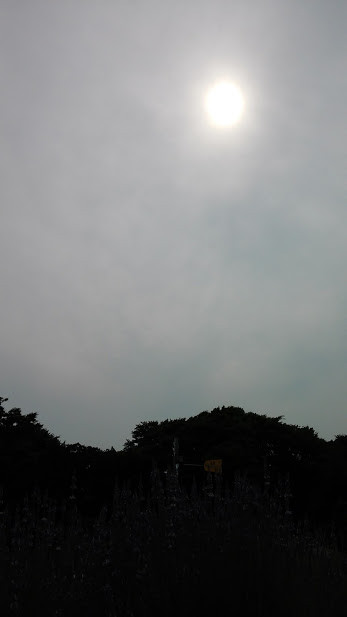 20150622夏至の太陽