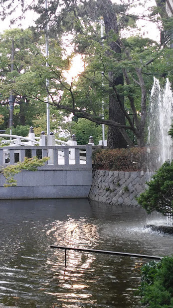 20150622夏至の寒川神社の池に太陽キラキラ