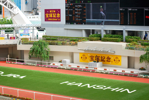 阪神競馬