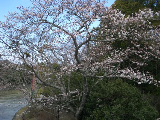 2009年ブログ用 026