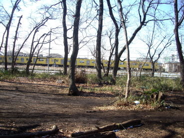 IMGP9441