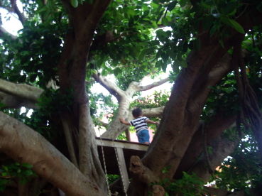 IMGP0337