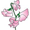 t_fspring02_a07