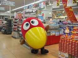 DSCF2530